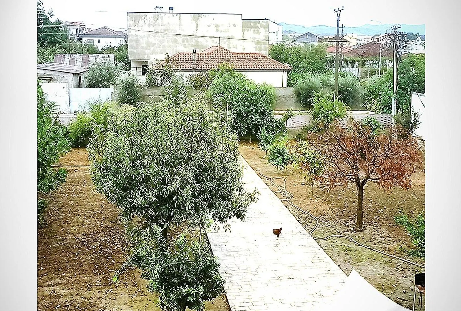 Villas Elona For Rent Feeling Home